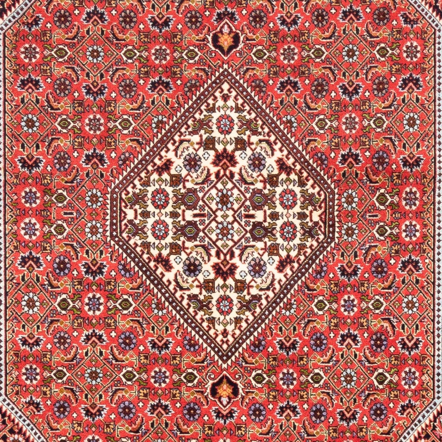 Tappeto Persero - Bidjar - 247 x 168 cm - rosso