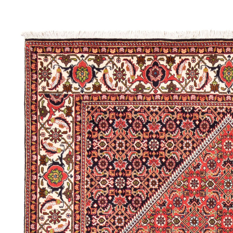 Tappeto Persero - Bidjar - 247 x 168 cm - rosso