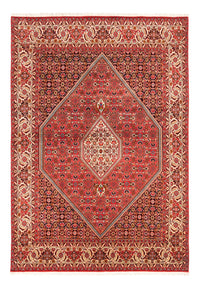 Tappeto Persero - Bidjar - 234 x 176 cm - rosso