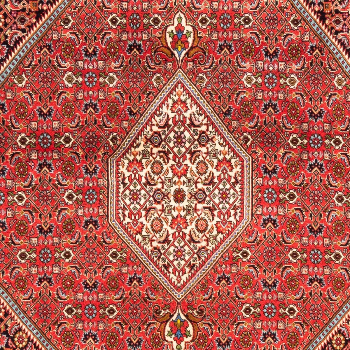 Tappeto Persero - Bidjar - 234 x 176 cm - rosso