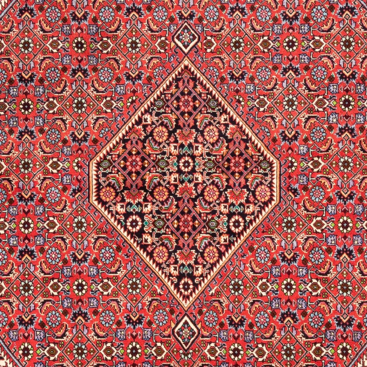 Tappeto Persero - Bidjar - 245 x 170 cm - rosso