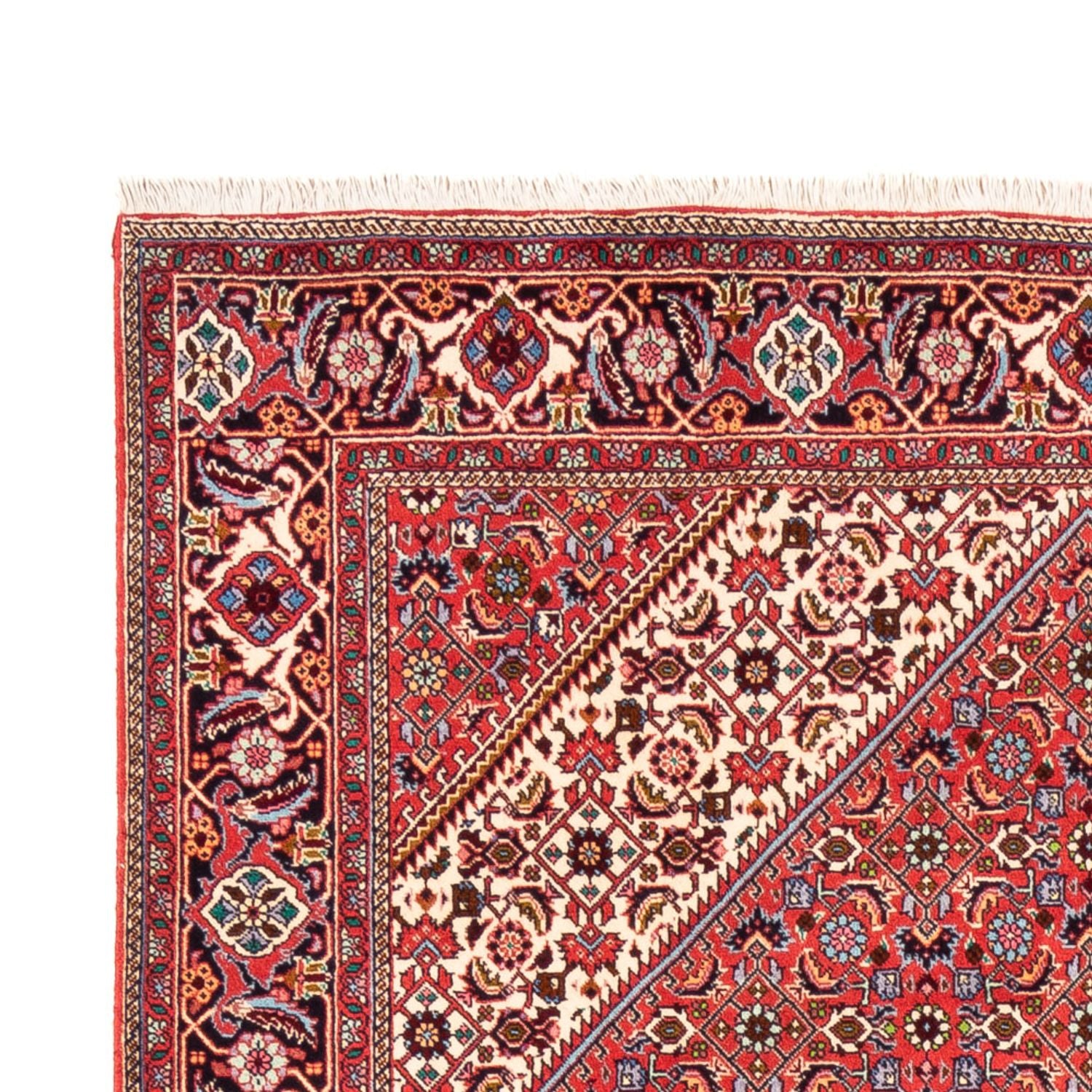 Tappeto Persero - Bidjar - 245 x 170 cm - rosso