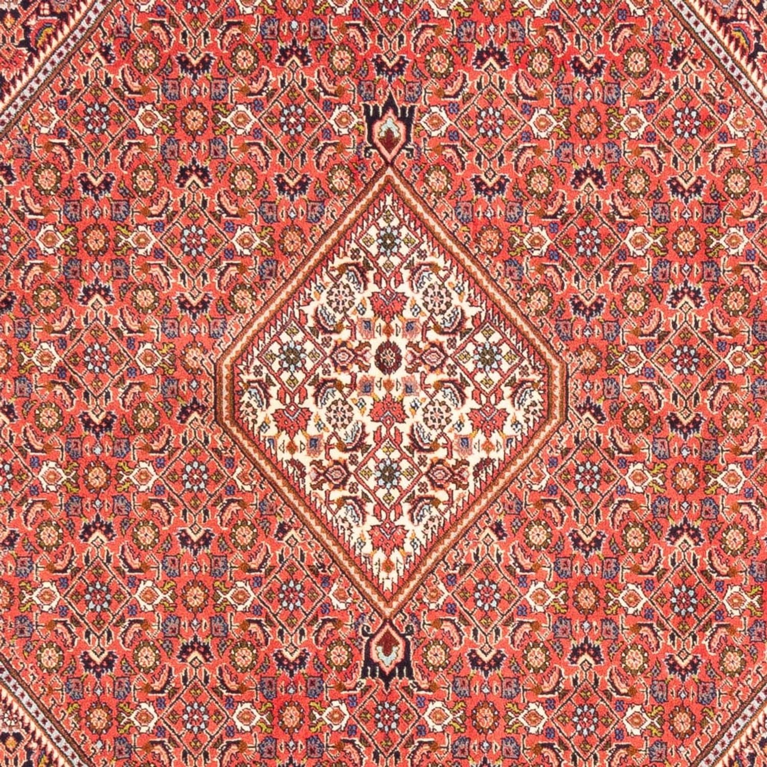 Tappeto Persero - Bidjar - 244 x 168 cm - rosso