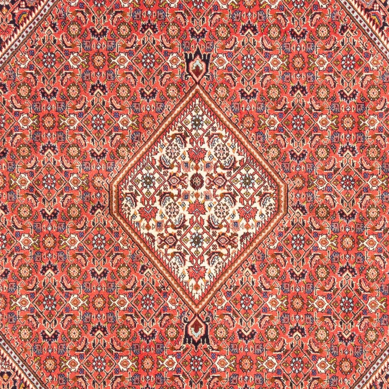 Tappeto Persero - Bidjar - 244 x 168 cm - rosso
