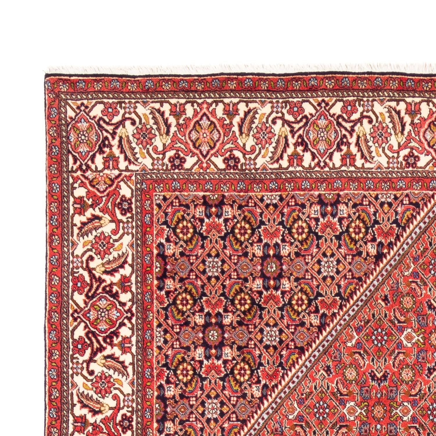 Tappeto Persero - Bidjar - 244 x 168 cm - rosso