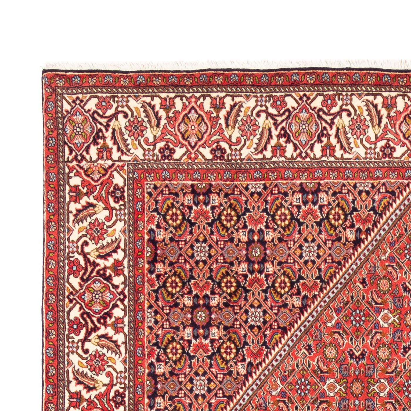 Bidjar - Bukan Tappeto 244x168cm - Tappeto persiano