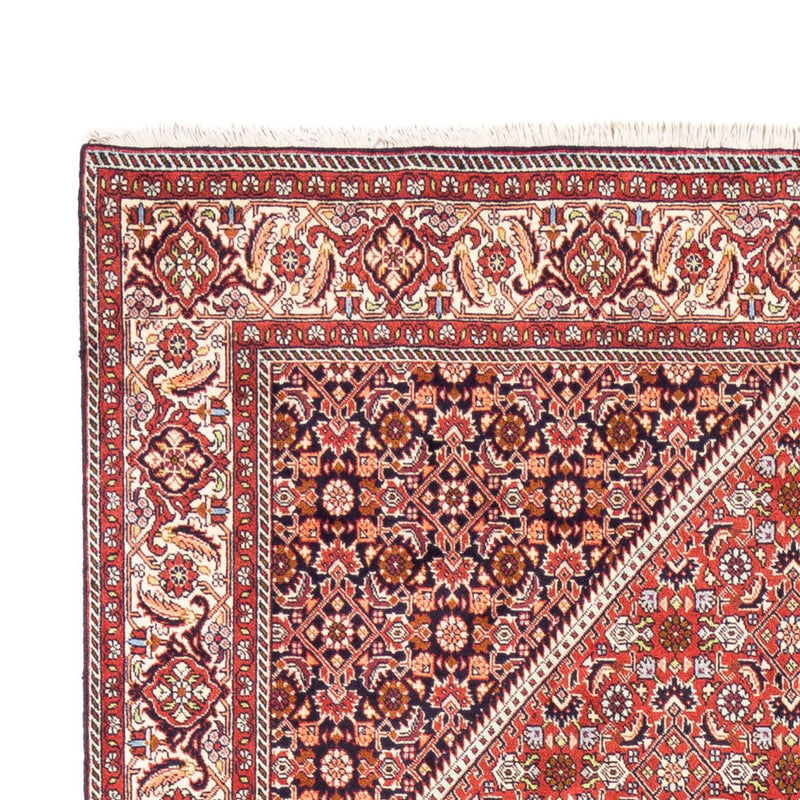 Tappeto Persero - Bidjar - 240 x 168 cm - rosso