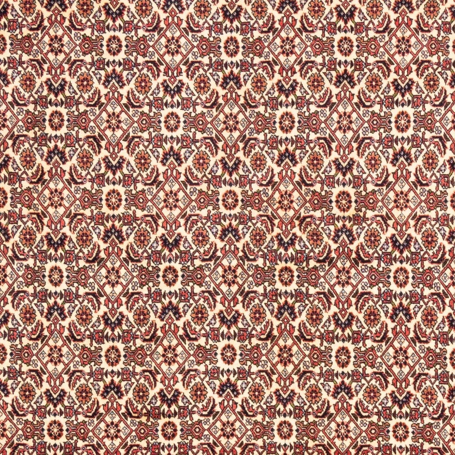 Tappeto Persero - Bidjar - 244 x 166 cm - beige