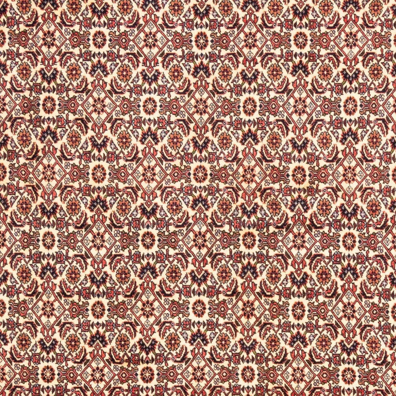 Tappeto Persero - Bidjar - 244 x 166 cm - beige