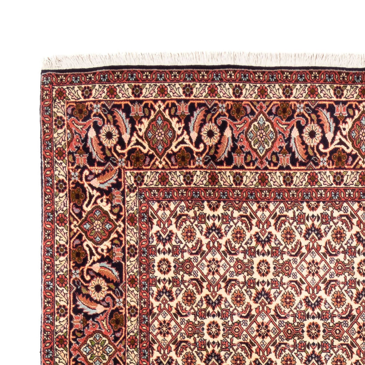 Tappeto Persero - Bidjar - 244 x 166 cm - beige