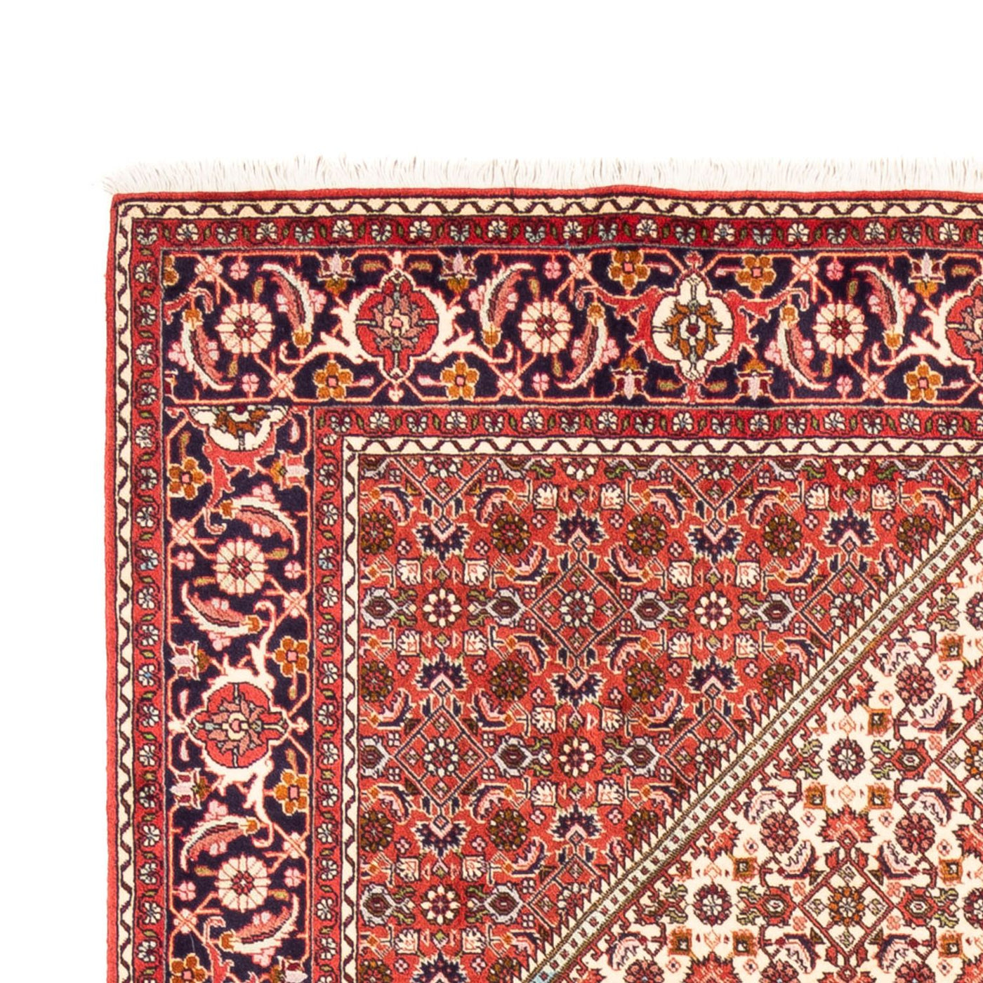 Bidjar - Bukan Tappeto 249x170cm - Tappeto persiano