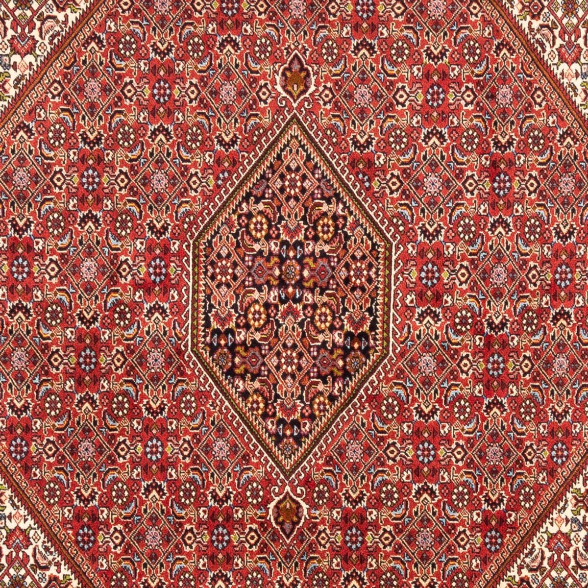 Tappeto Persero - Bidjar - 247 x 172 cm - rosso
