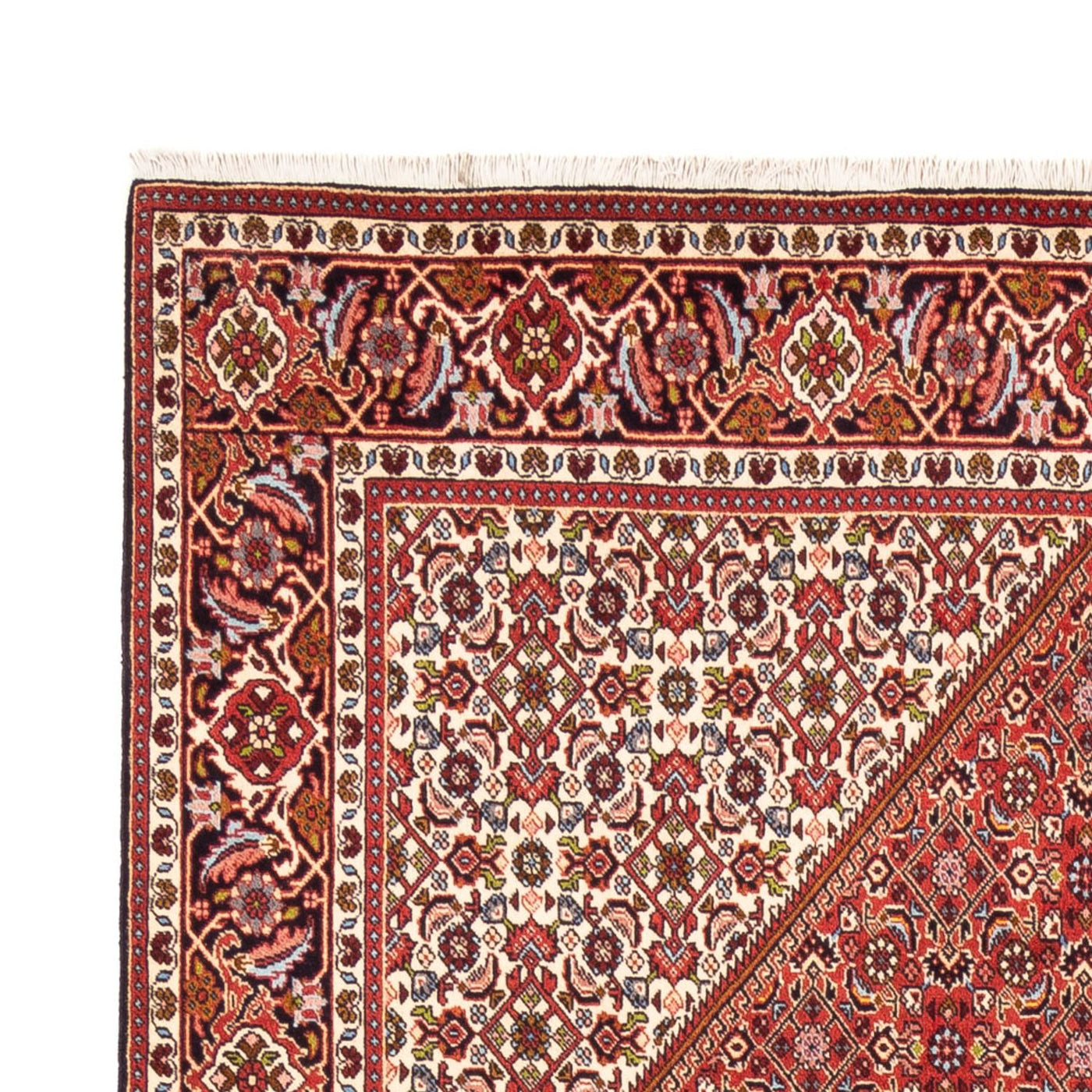 Bidjar - Bukan Tappeto 247x172cm - Tappeto persiano