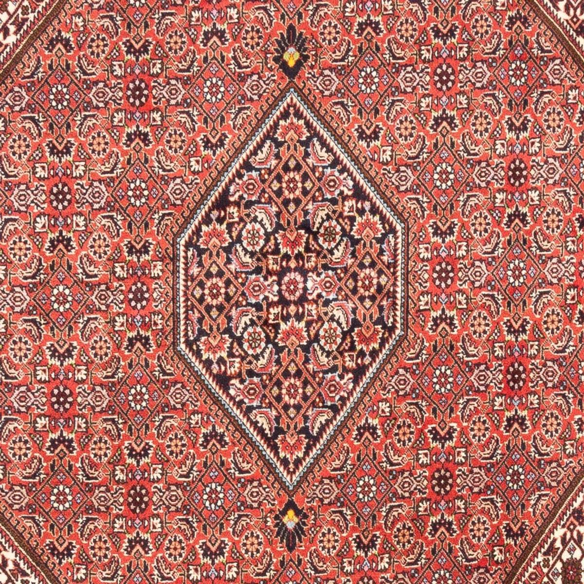 Tappeto Persero - Bidjar - 247 x 173 cm - rosso