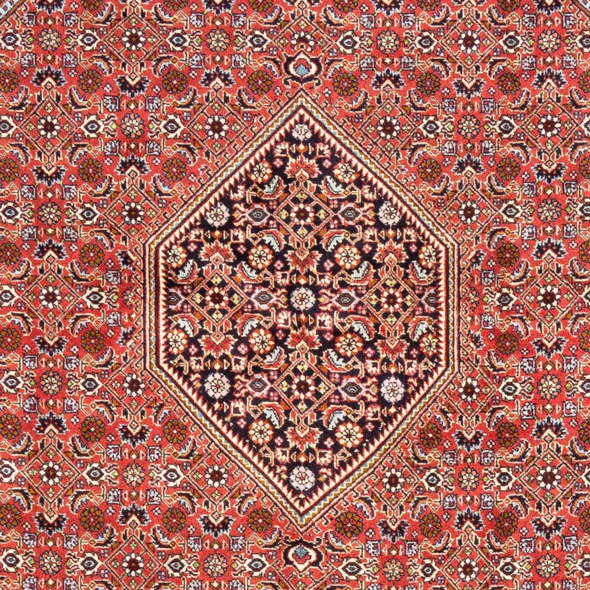 Tappeto Persero - Bidjar - 248 x 171 cm - rosso