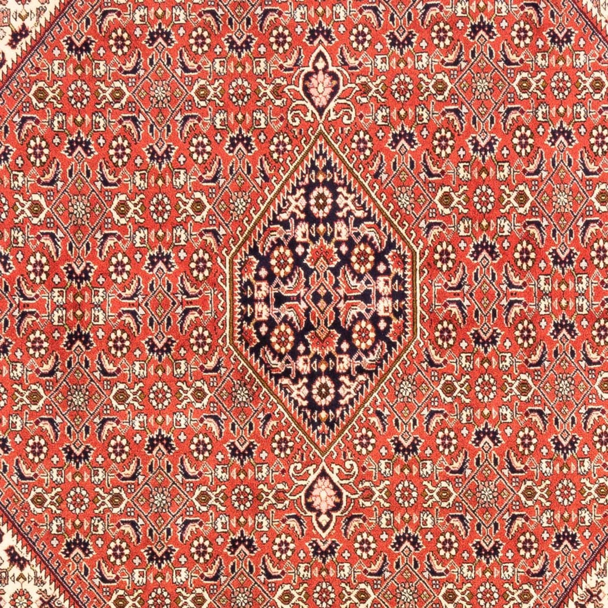 Tappeto Persero - Bidjar - 238 x 171 cm - rosso