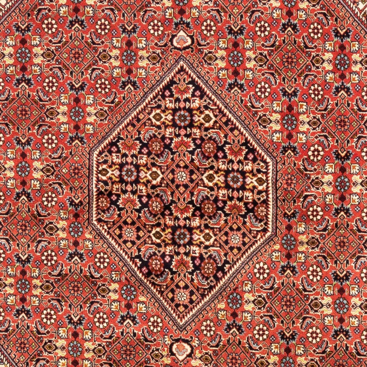 Tappeto Persero - Bidjar - 246 x 171 cm - rosso