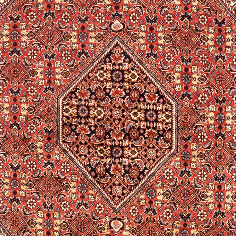 Tappeto Persero - Bidjar - 246 x 171 cm - rosso