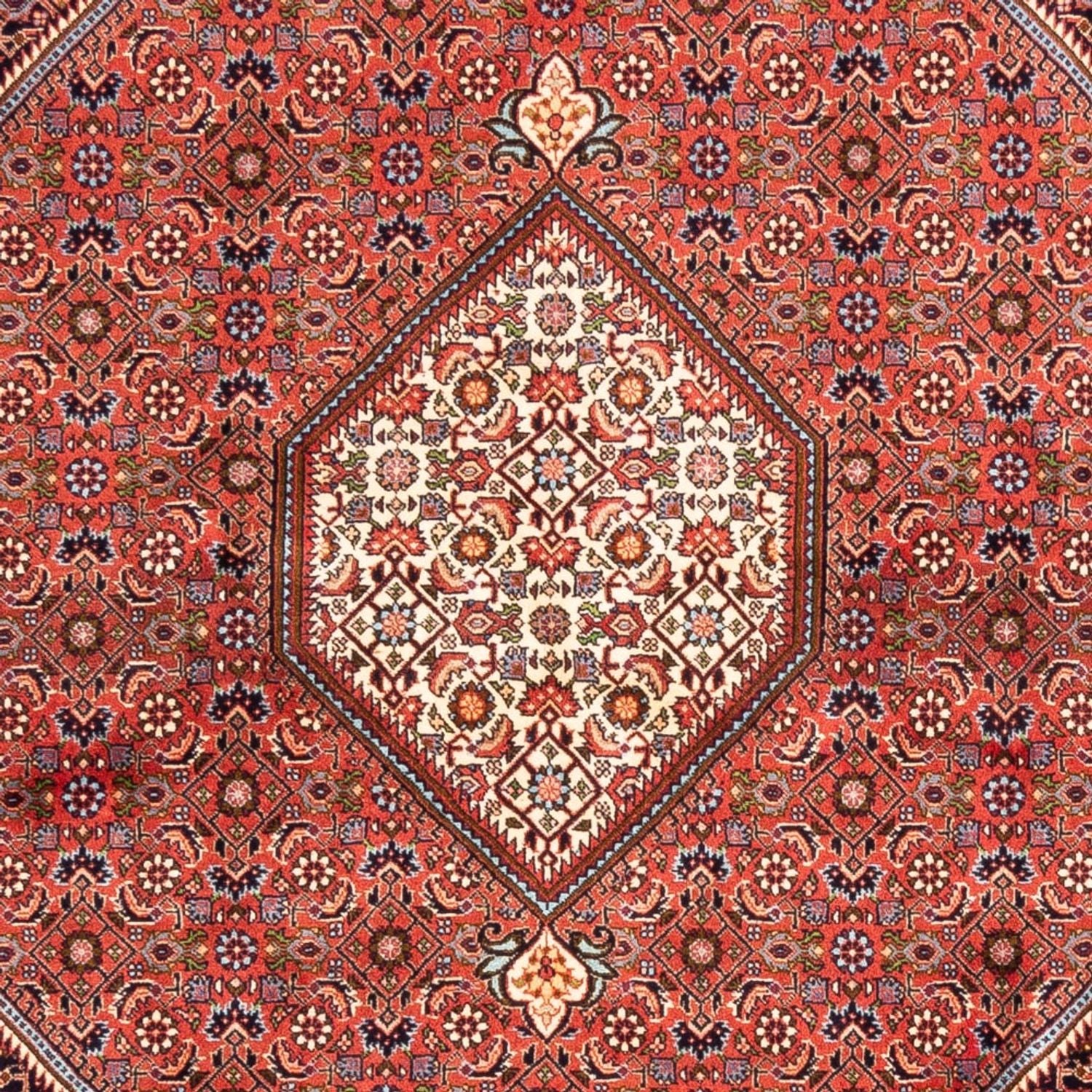 Tappeto Persero - Bidjar - 240 x 173 cm - rosso