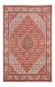 Bidjar - Bukan Tappeto 247x172cm - Tappeto persiano
