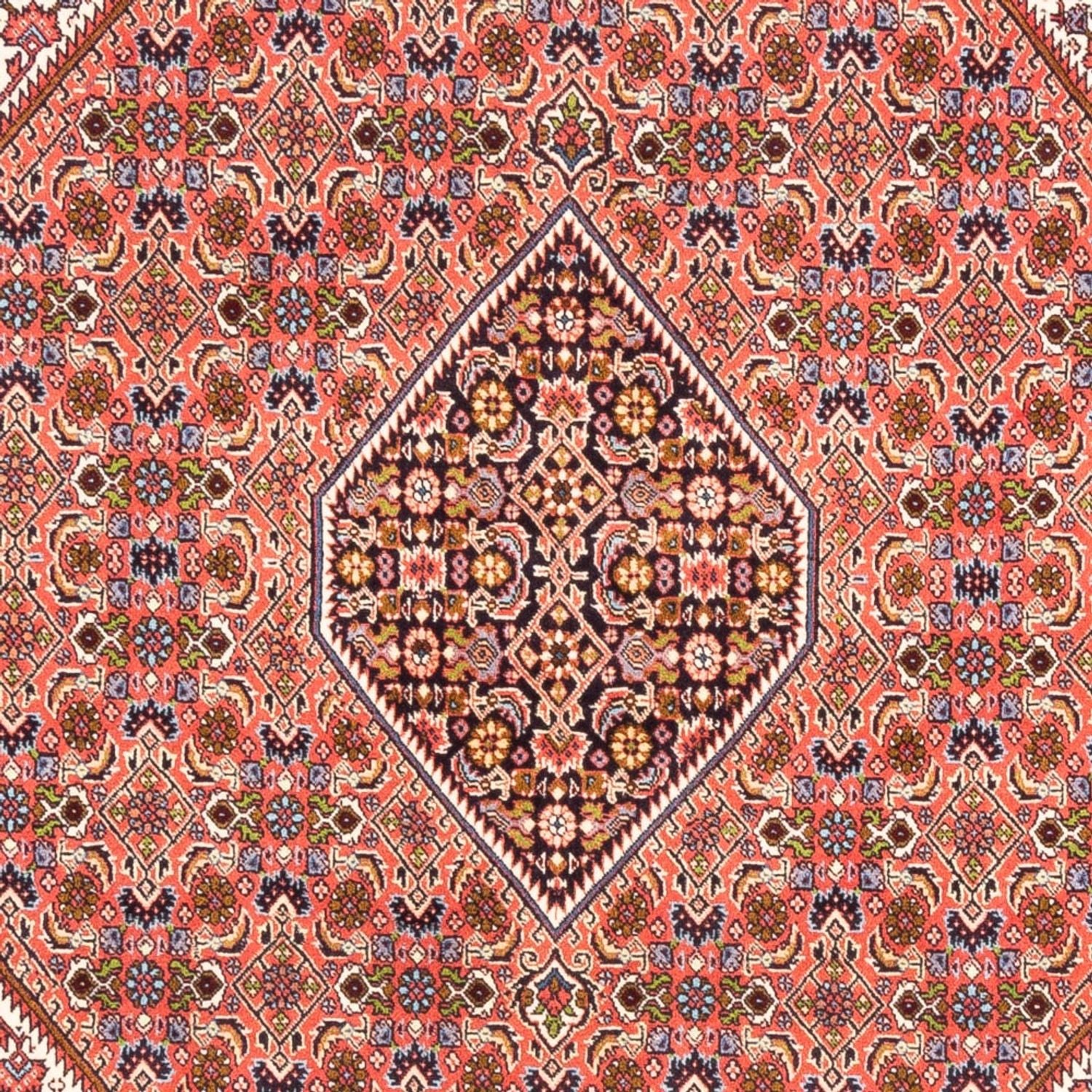 Tappeto Persero - Bidjar - 247 x 172 cm - rosso