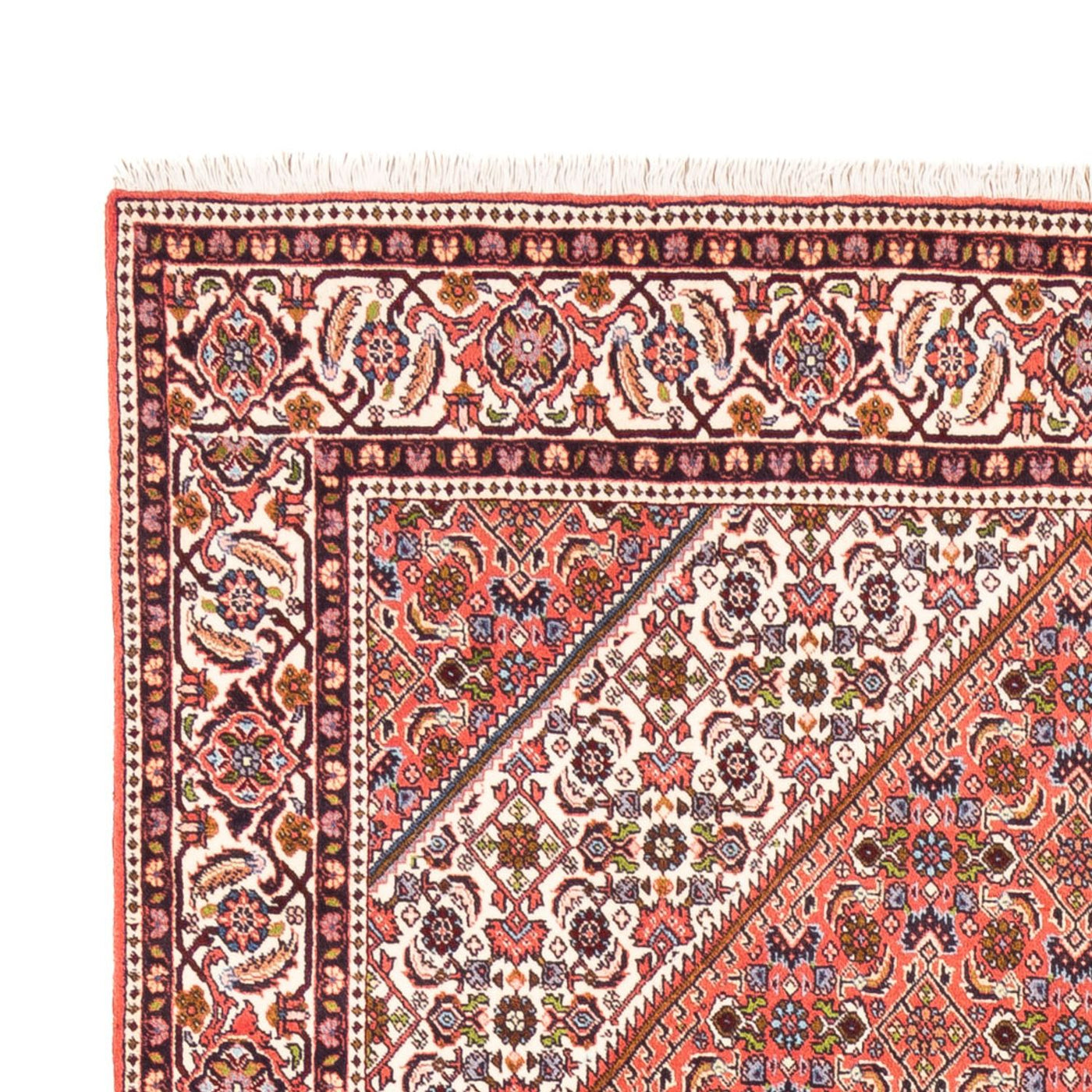 Bidjar - Bukan Tappeto 247x172cm - Tappeto persiano