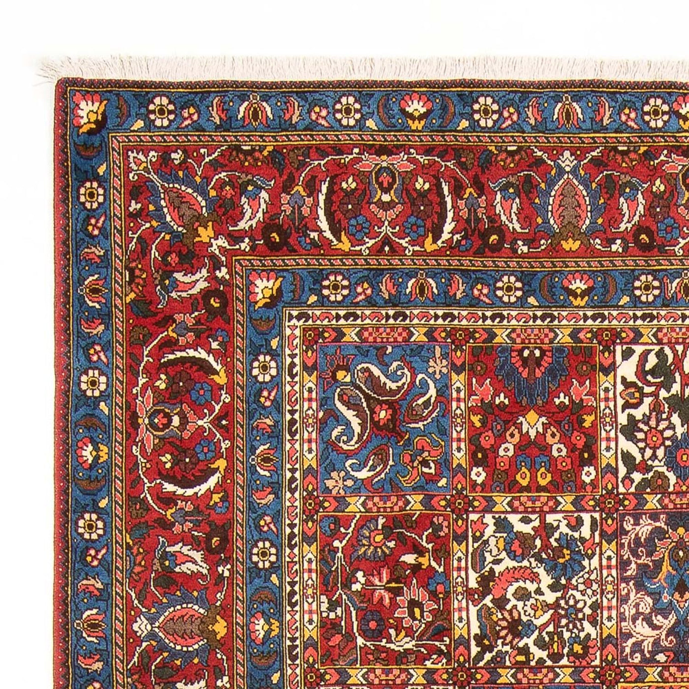 Bachtiar Tappeto 315x202cm - Tappeto persiano