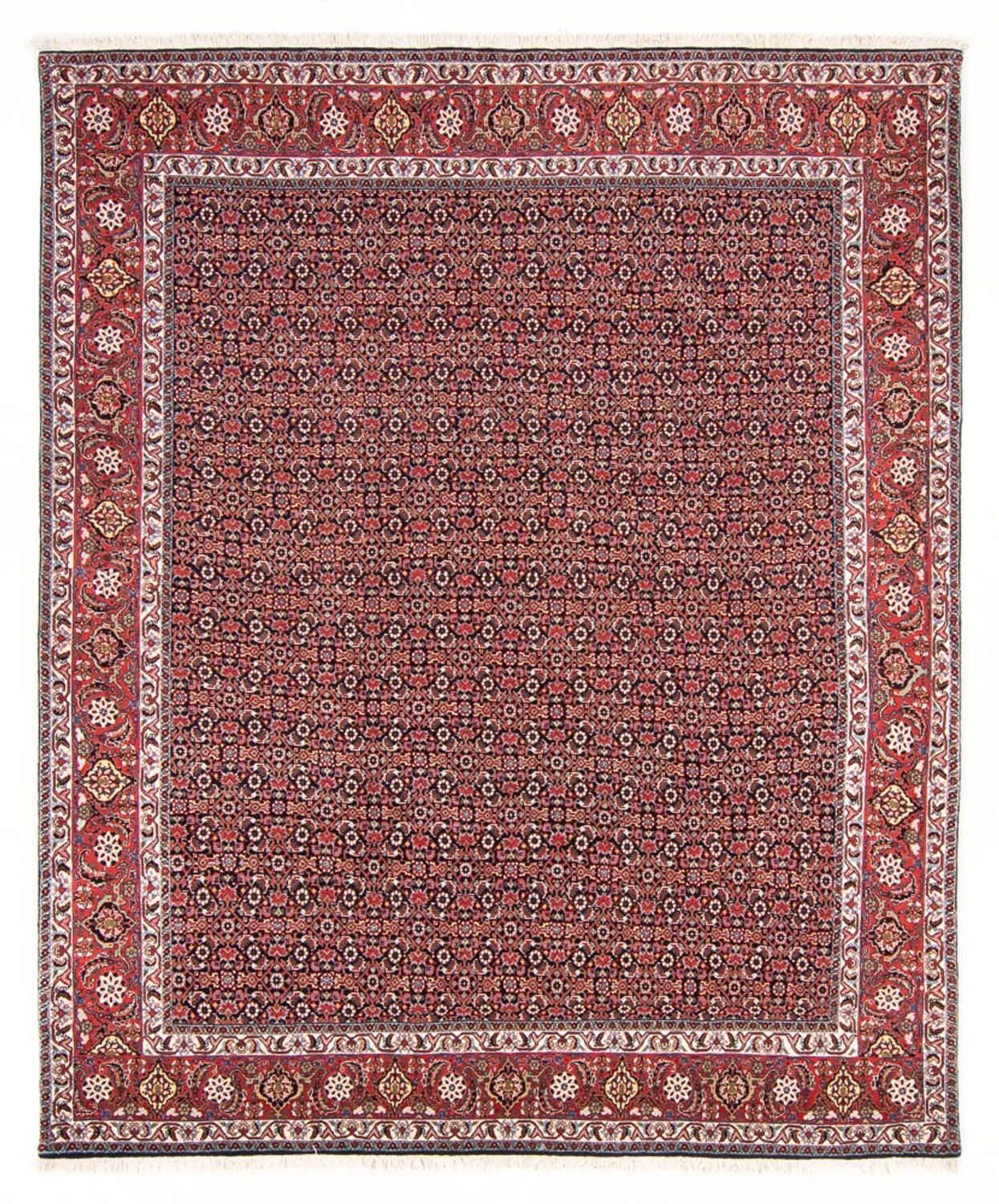Tappeto Persero - Bidjar - 247 x 196 cm - blu scuro