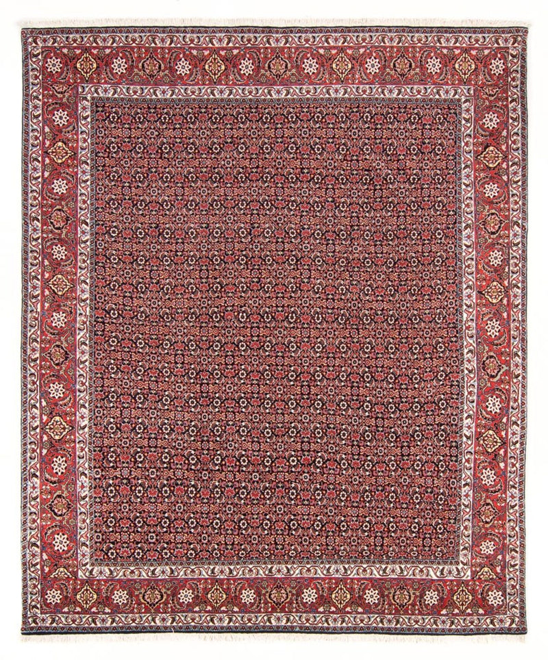 Tappeto Persero - Bidjar - 247 x 196 cm - blu scuro