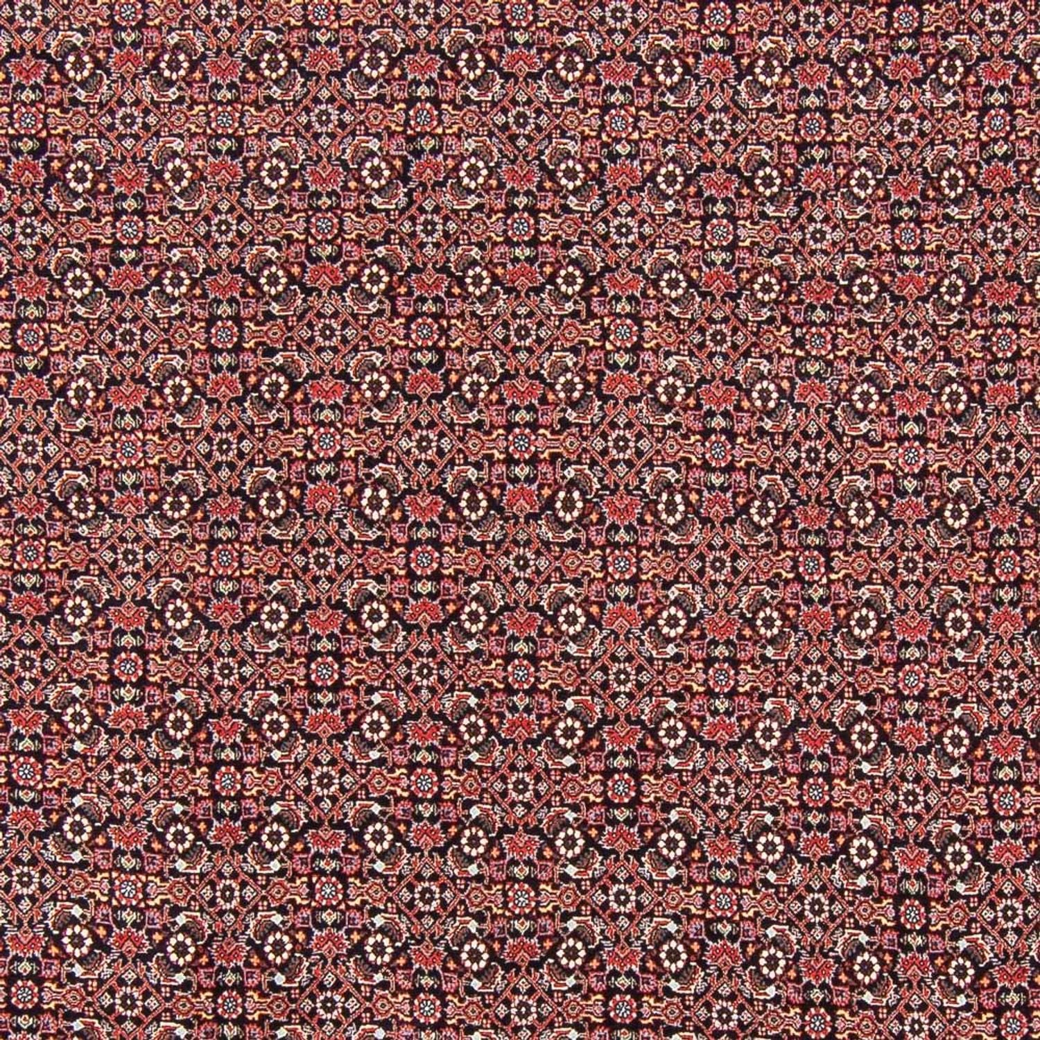 Tappeto Persero - Bidjar - 247 x 196 cm - blu scuro