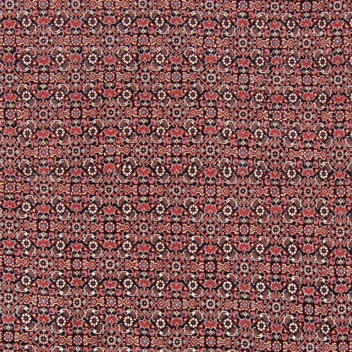 Tappeto Persero - Bidjar - 247 x 196 cm - blu scuro