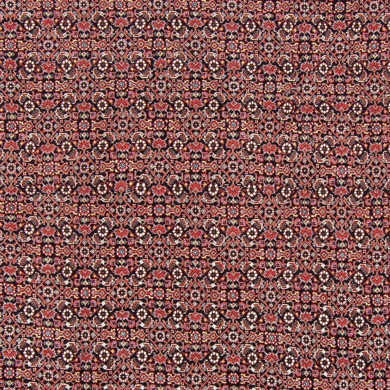 Tappeto Persero - Bidjar - 247 x 196 cm - blu scuro