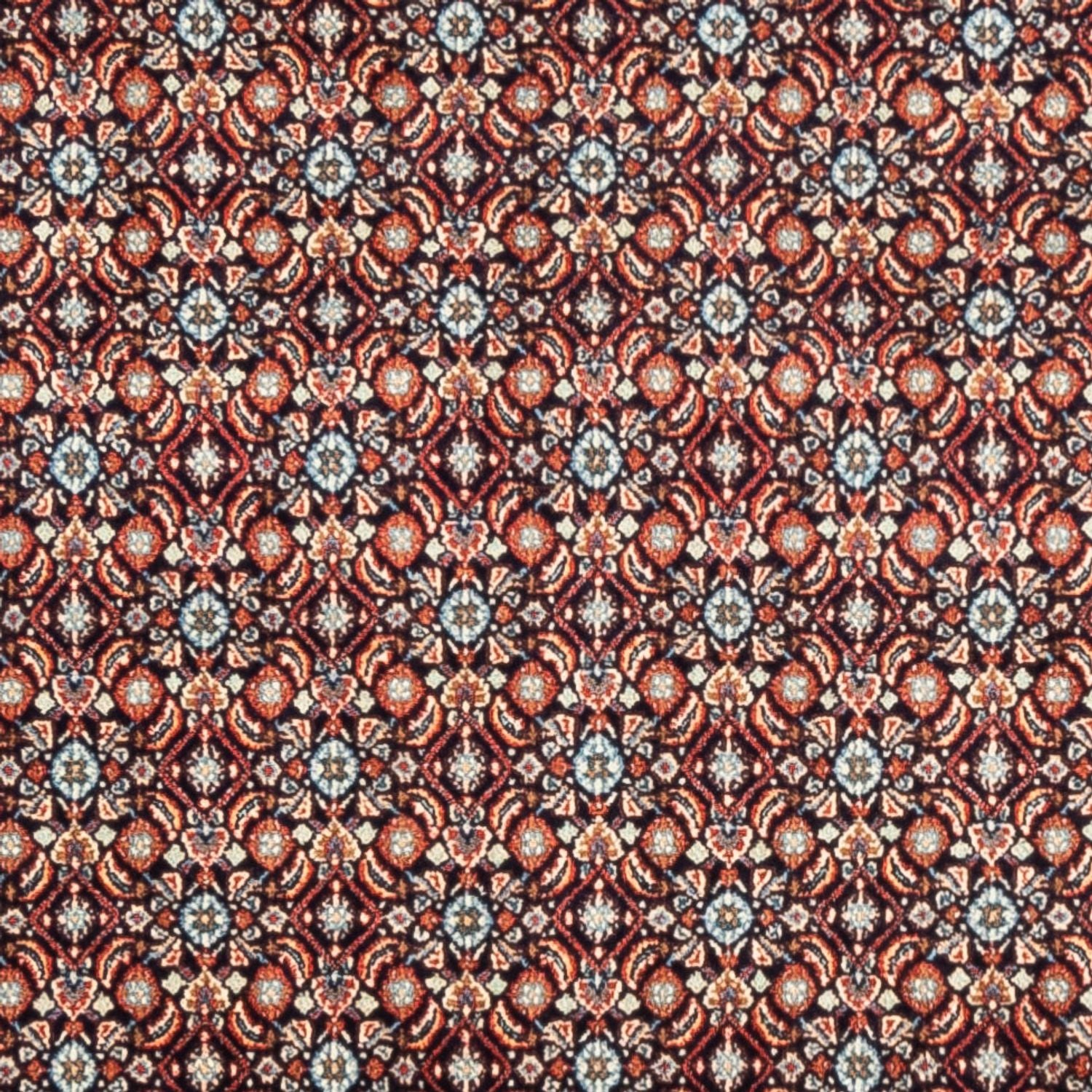 Tappeto Persero - Classico - 244 x 197 cm - beige scuro