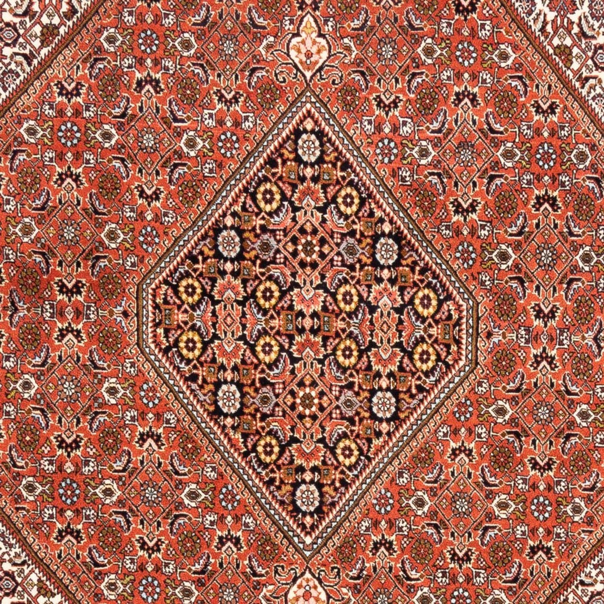 Tappeto Persero - Bidjar - 250 x 172 cm - rosso