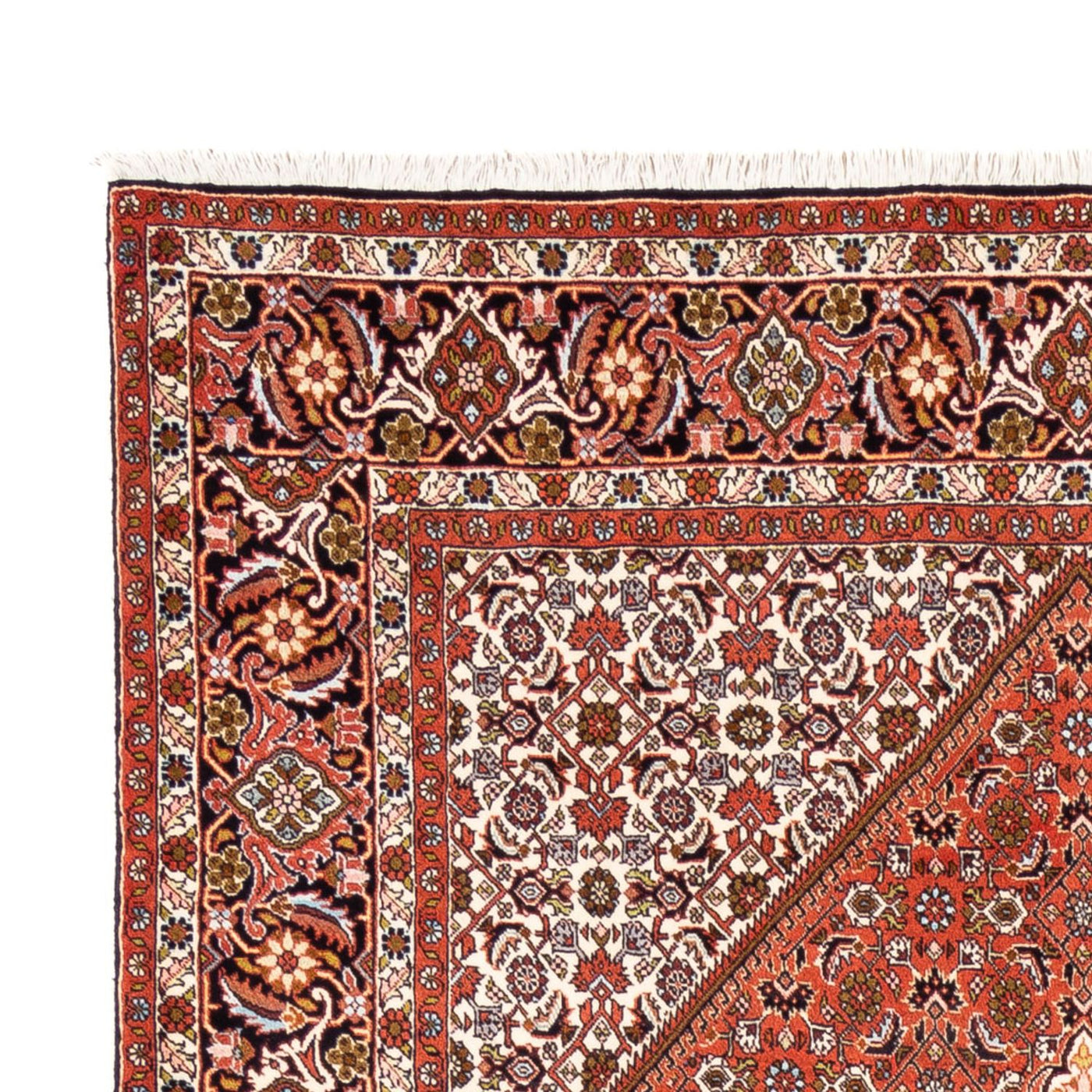 Bidjar Tappeto 250x172cm - Tappeto persiano