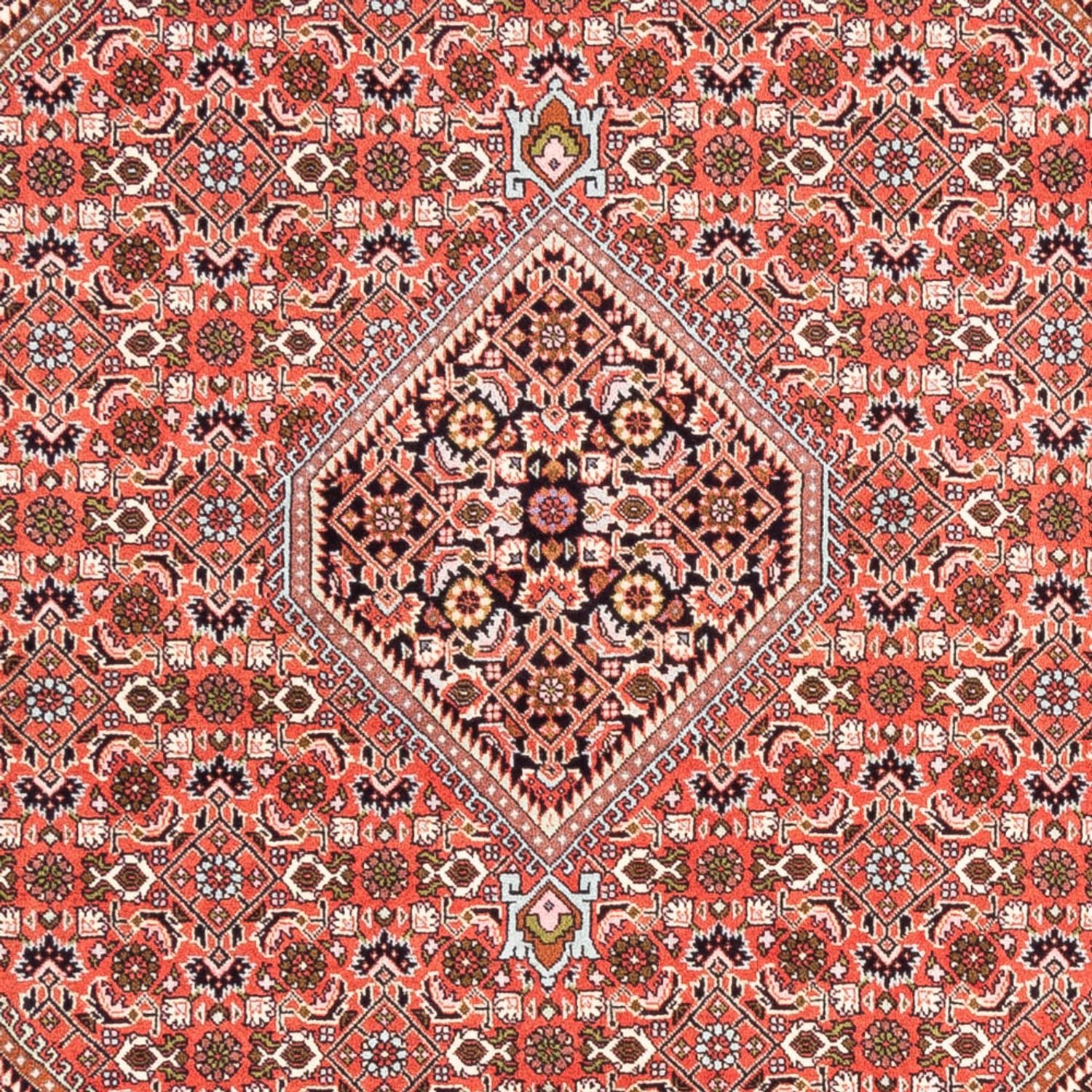 Tappeto Persero - Bidjar - 235 x 168 cm - rosso