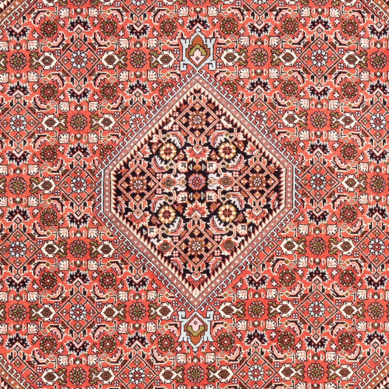 Tappeto Persero - Bidjar - 235 x 168 cm - rosso