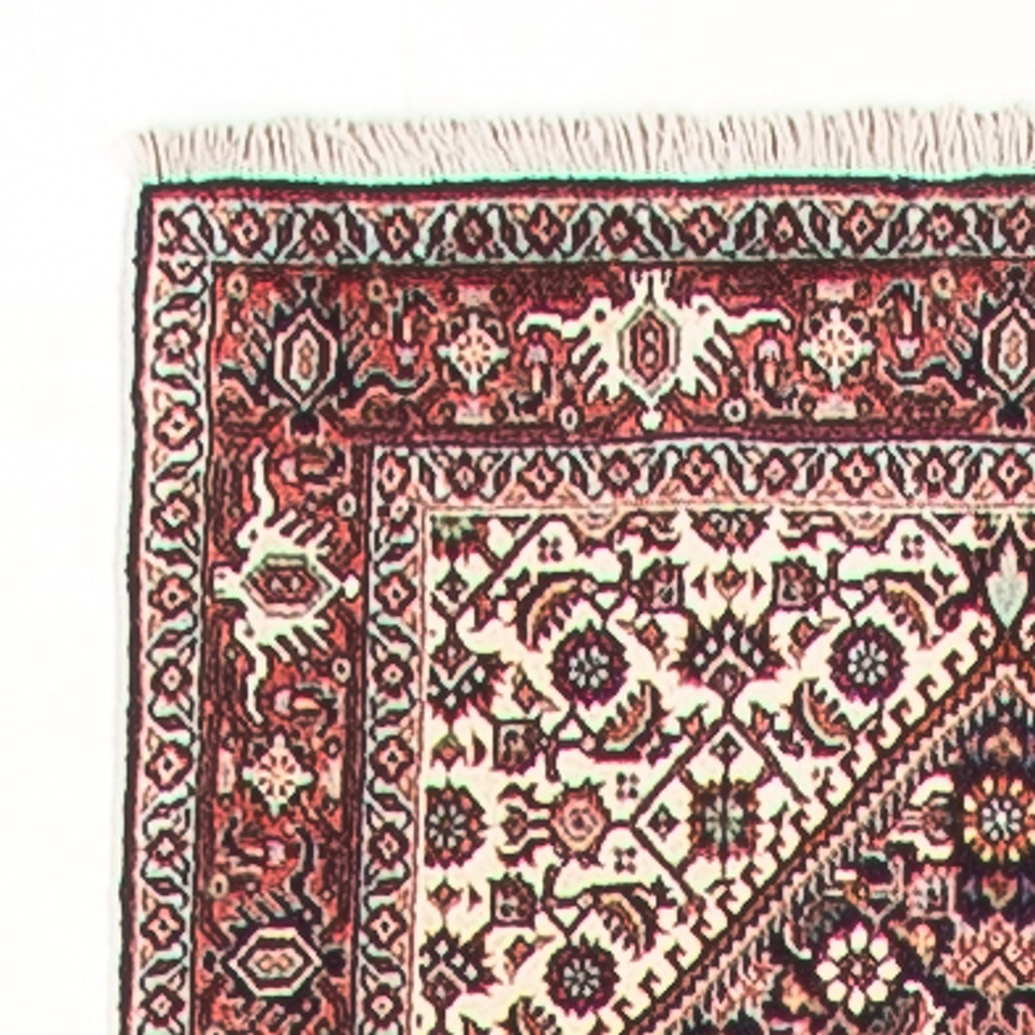Tappeto corsia Tappeto Persero - Bidjar - 410 x 67 cm - crema