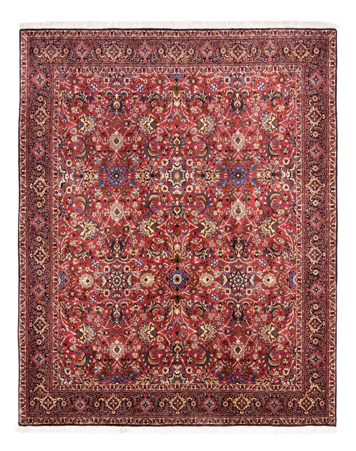 Tappeto Persero - Bidjar - 246 x 197 cm - rosso bordeaux