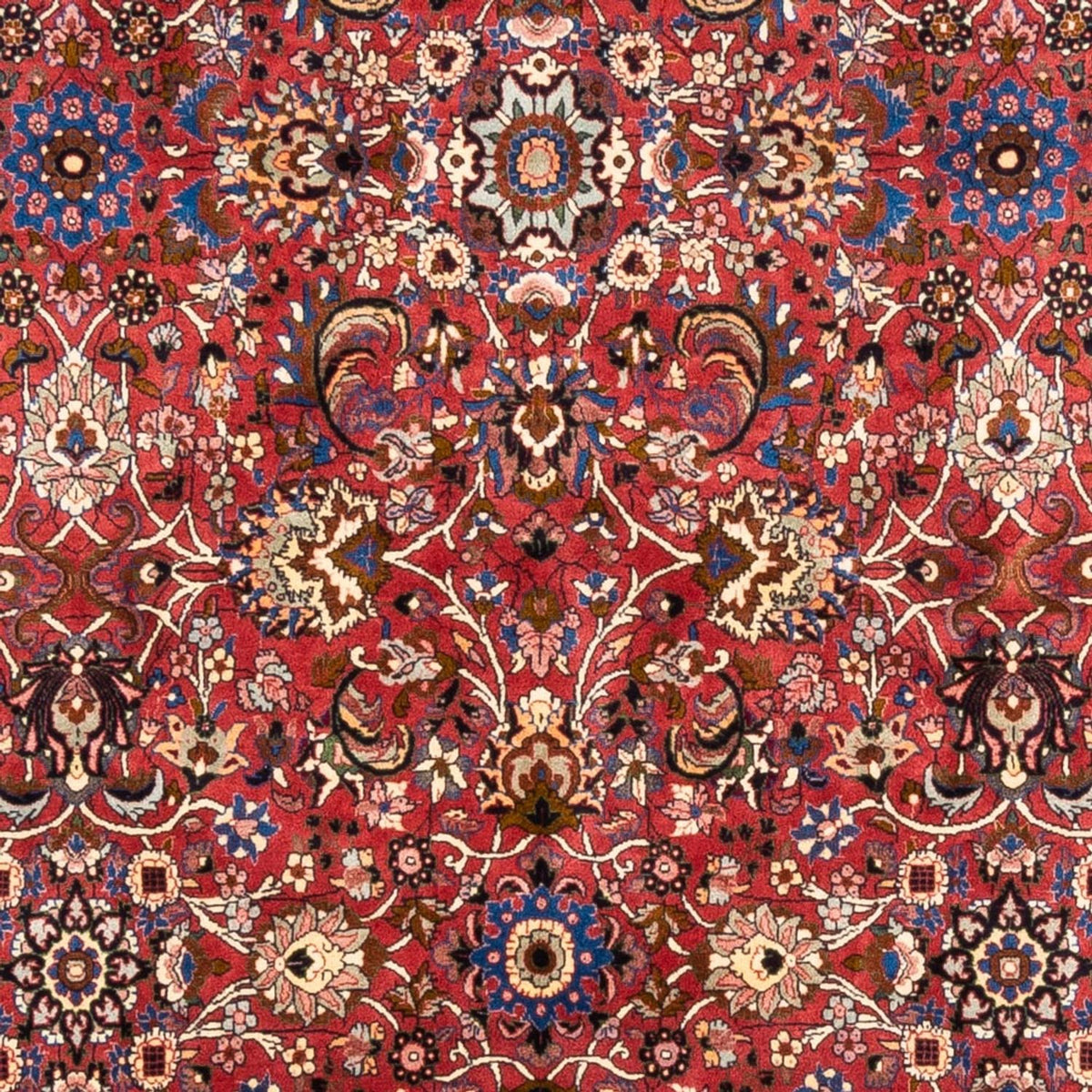 Tappeto Persero - Bidjar - 246 x 197 cm - rosso bordeaux