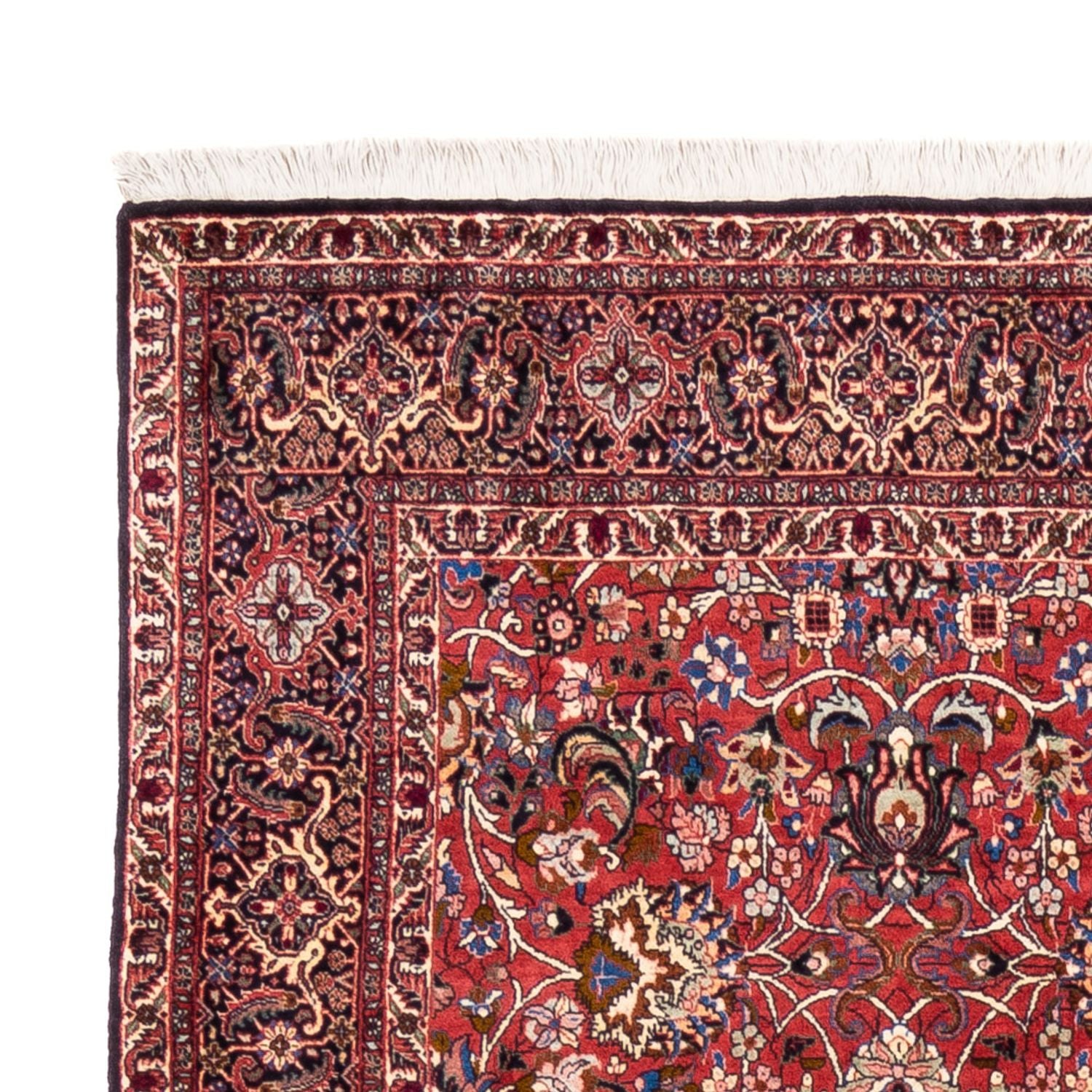 Tappeto Persero - Bidjar - 246 x 197 cm - rosso bordeaux
