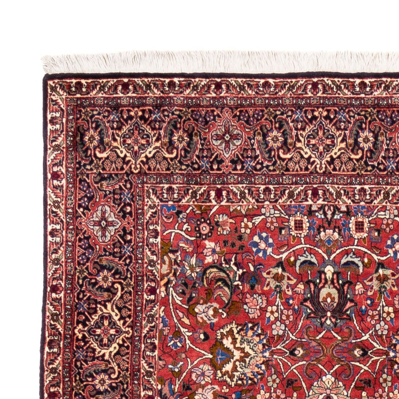 Tappeto Persero - Bidjar - 246 x 197 cm - rosso bordeaux