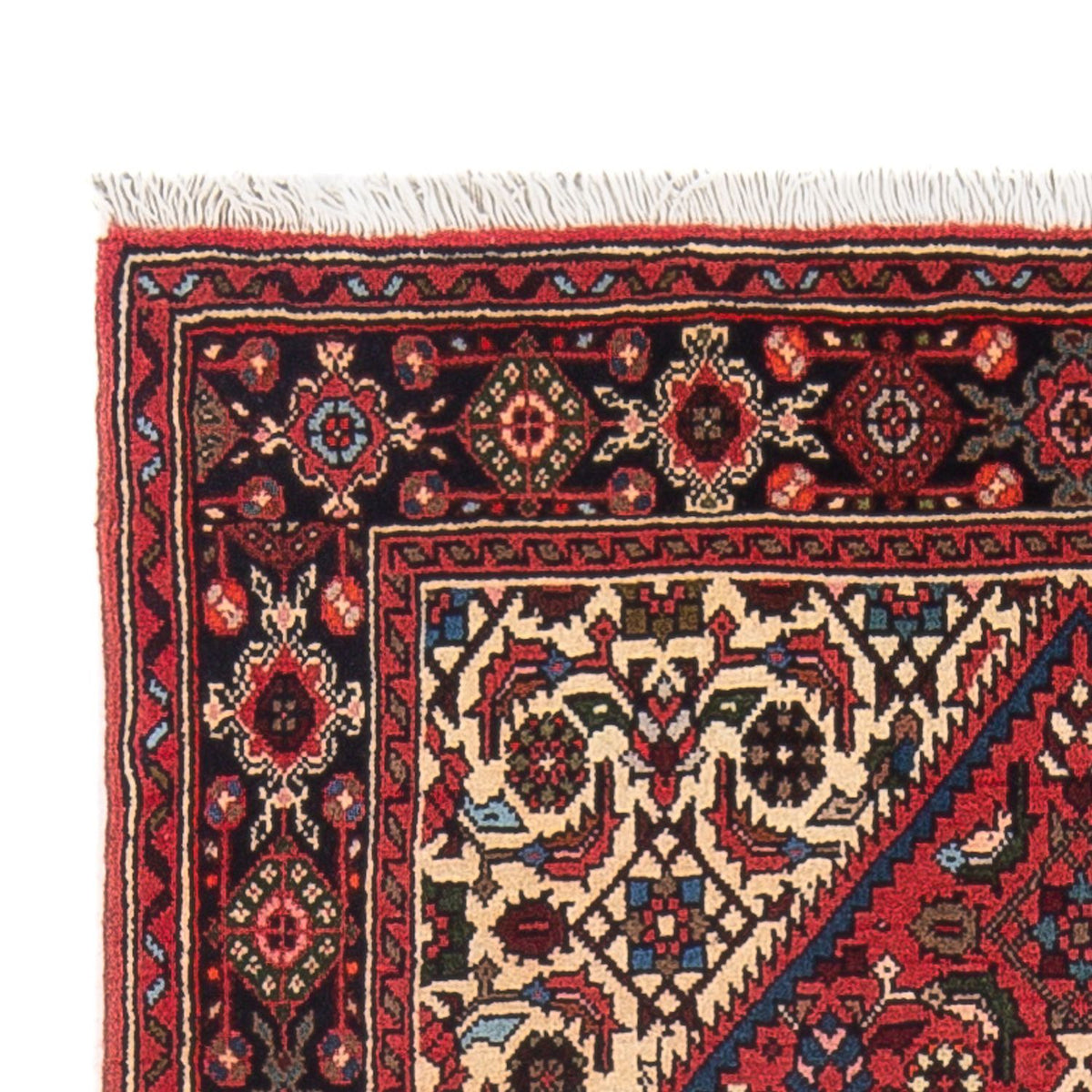 Gholtogh Tappeto 77x124cm - Tappeto persiano