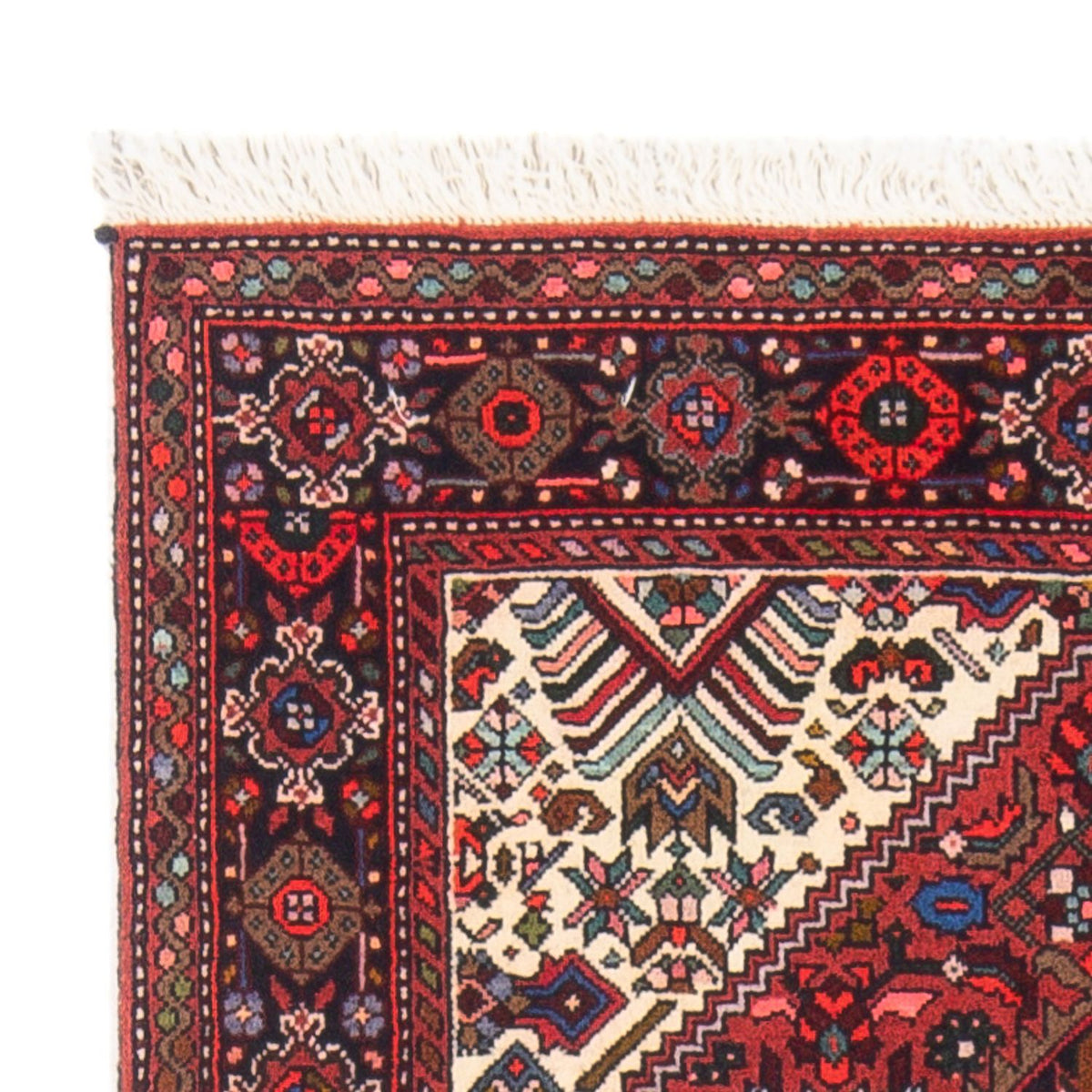 Gholtogh Tappeto 73x119cm - Tappeto persiano