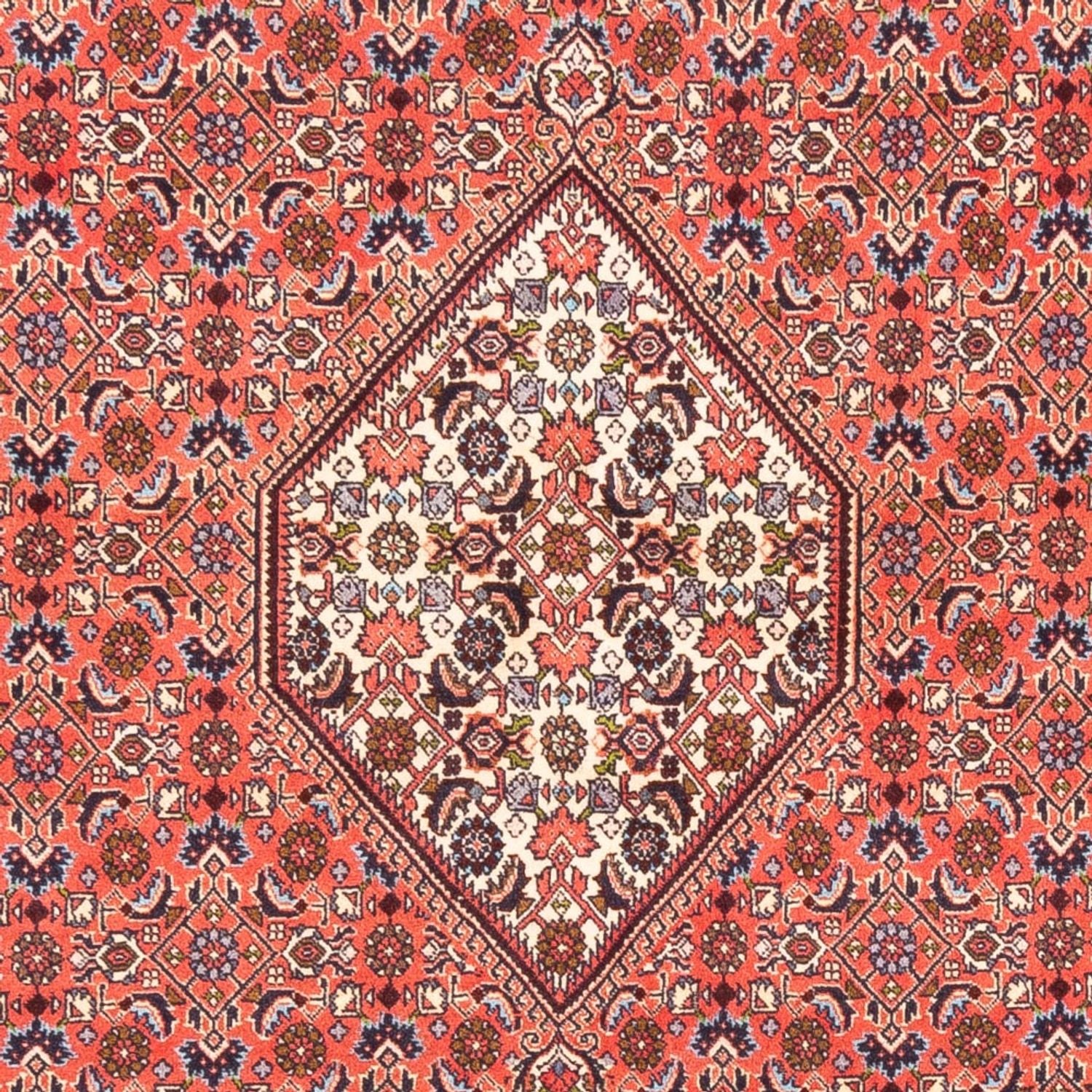Tappeto Persero - Bidjar - 242 x 170 cm - rosso