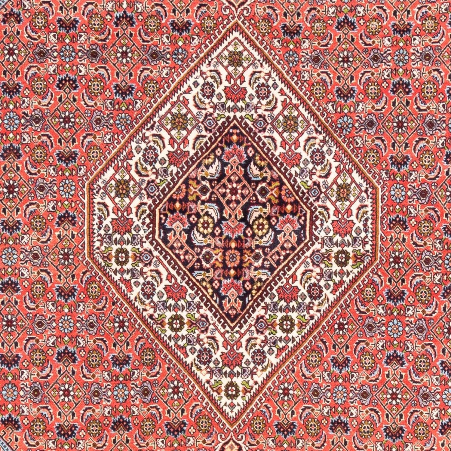 Tappeto Persero - Bidjar - 243 x 170 cm - rosso