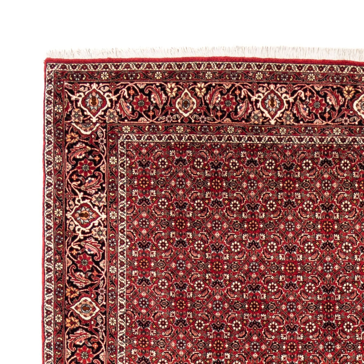 Tappeto Persero - Bidjar - 238 x 178 cm - rosso