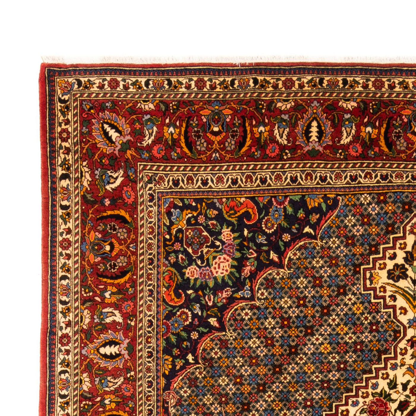 Bakhtiari Tappeto 305x206cm - Tappeto persiano
