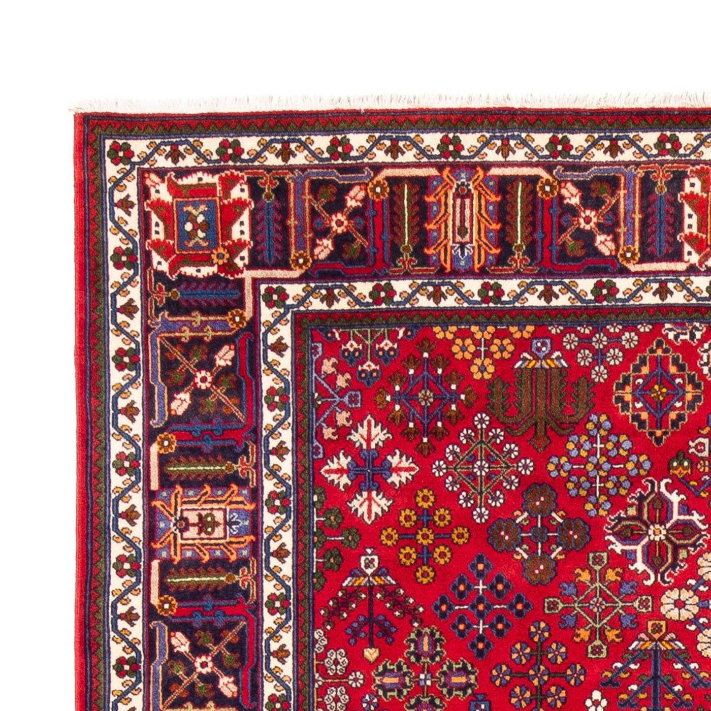 Sarouk Tappeto 258x168cm - Tappeto persiano