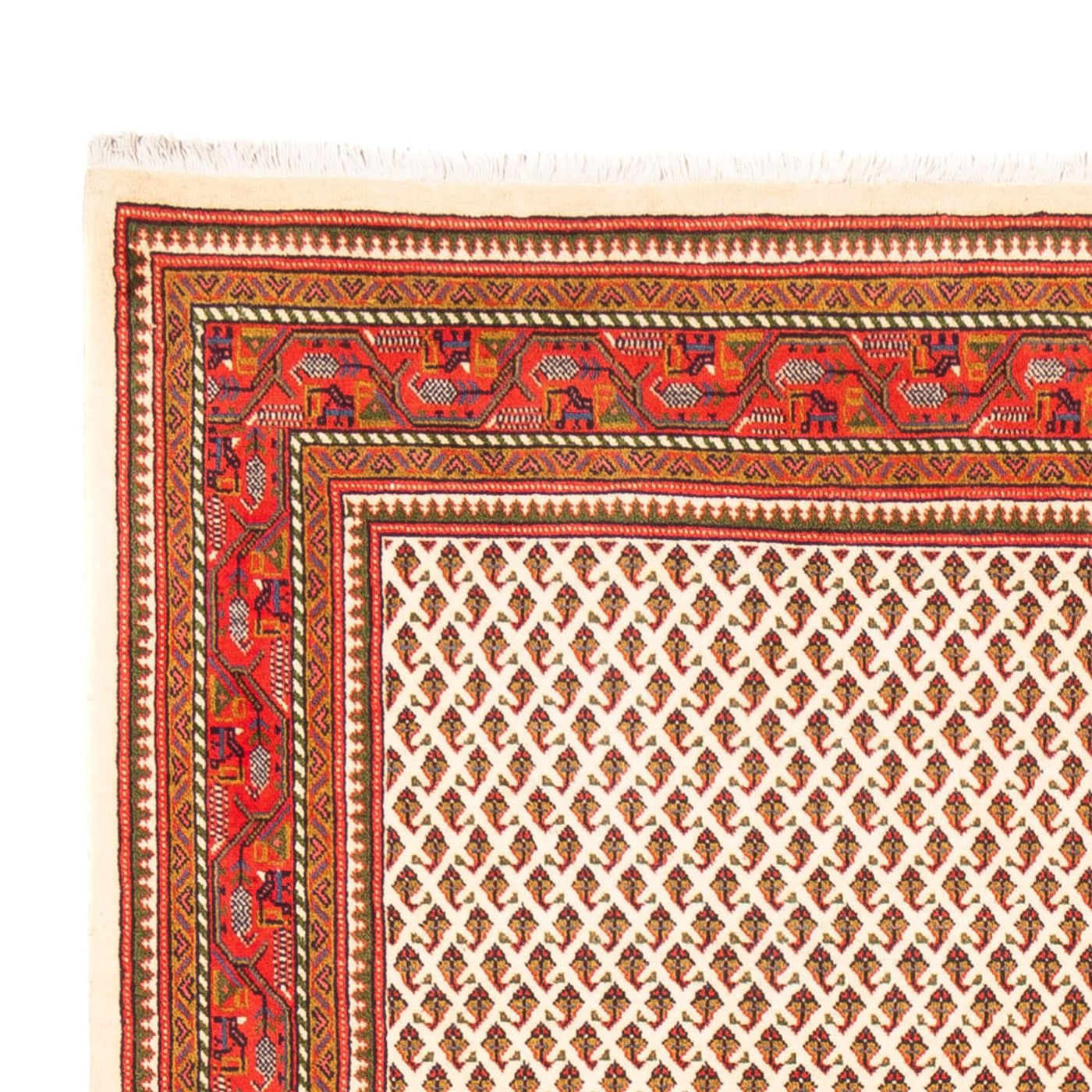 Mir Tappeto 260x168cm - Tappeto persiano